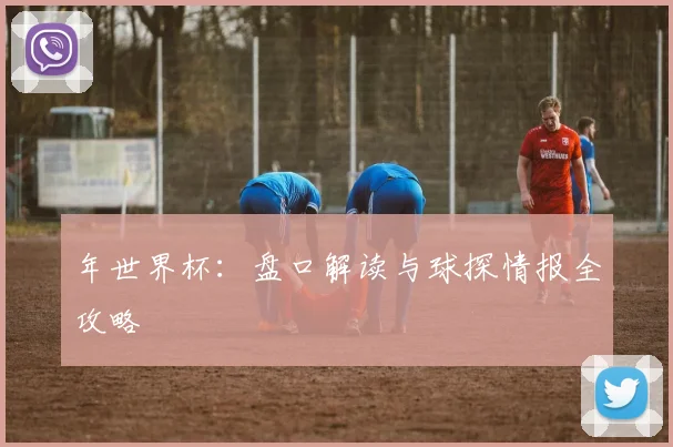 年世界杯：盘口解读与球探情报全攻略